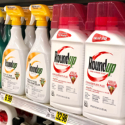 roundup lawsuit